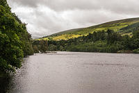 DSC 2741