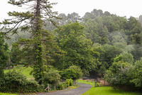 DSC 2765