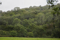 DSC 2772