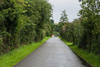 DSC 2797