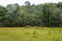 DSC 2804