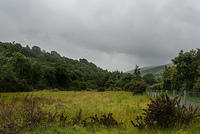 DSC 2807