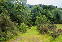 DSC 2808