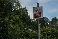 DSC 2815