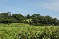 DSC 2821