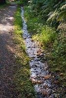 DSC 4282