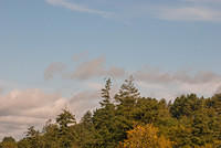 DSC 4309
