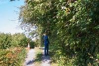 DSC 4345