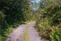 DSC 4388