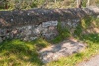 DSC 4421