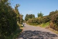 DSC 4444