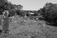 DSC 4535