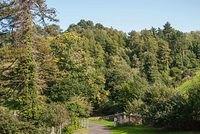 DSC 4613