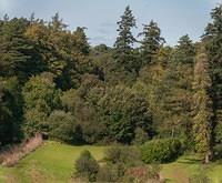 Untitled Panorama14