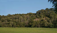 Untitled Panorama15