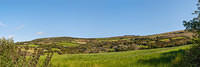 Untitled Panorama6