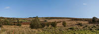 Untitled Panorama8