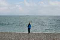 Bray