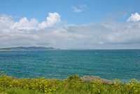 DSC 2040