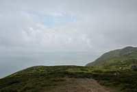 DSC 2051