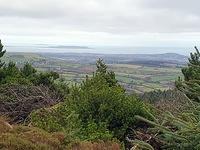 IMG-20240111-WA0007