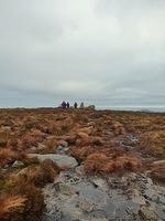 IMG-20240111-WA0008