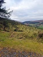 IMG-20240111-WA0011