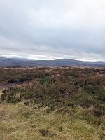 IMG-20240111-WA0013