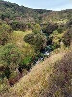 IMG-20240111-WA0018