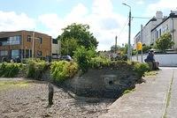 DSC 6011
