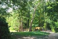 DSC 5903