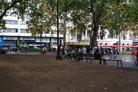 DSC 0502