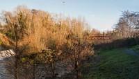 Untitled Panorama8