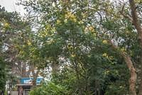 DSC 7709