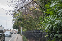 DSC 7711