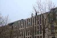DSC 4847