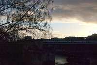 DSC 4907