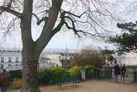 DSC 5001
