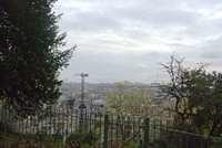 DSC 5036