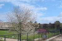 DSC 5185