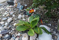 DSC 0017