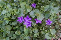 DSC 0021