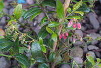 DSC 0035