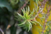 DSC 0056