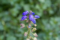 DSC 0058