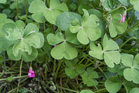 DSC 0060