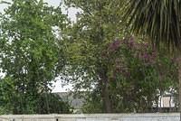 DSC 0076