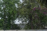 DSC 0078