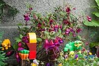 DSC 3881