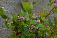 DSC 3883